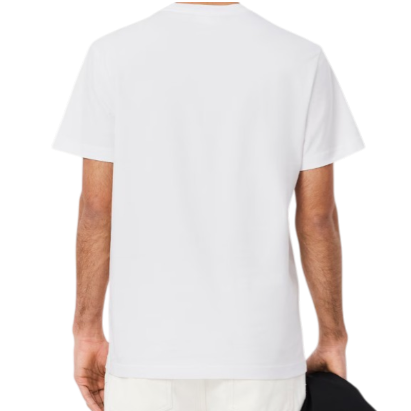 https://storage.alifshop.tj/media/images/alifshop/54798/muzhskaya-futbolka-lacoste-trim-th9842-001-m-belyy-1774898468311.png