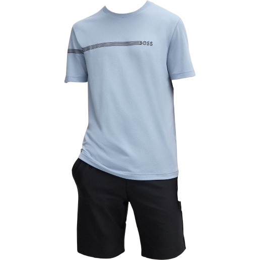 https://storage.alifshop.tj/media/images/alifshop/55027/muzhskaya-futbolka-boss-tee-5-50519343-498-xl-goluboy-1774950306823.png