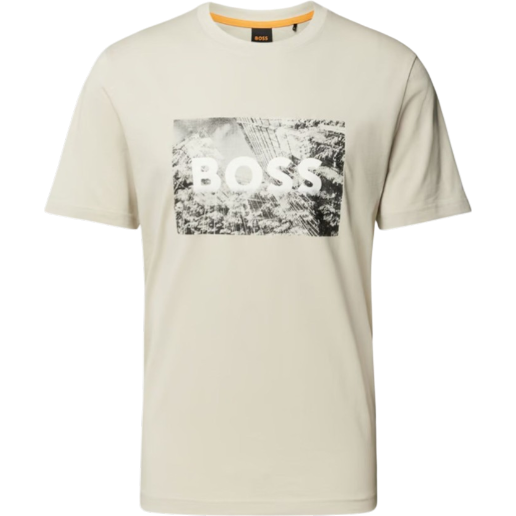 https://storage.alifshop.tj/media/images/alifshop/55060/muzhskaya-futbolka-boss-te-building-50522767-271-s-svetlo-bezhevyy-1774956526355.png