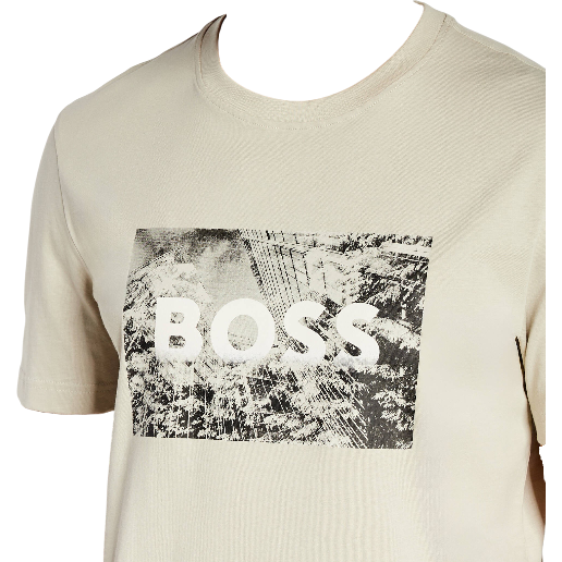 https://storage.alifshop.tj/media/images/alifshop/55064/muzhskaya-futbolka-boss-te-building-50522767-271-xl-svetlo-bezhevyy-1774956731333.png