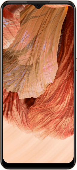 https://storage.alifshop.tj/media/images/alifshop/5547/oppo-a73-6-128-gb-oranzhevyy-1653394274071.png