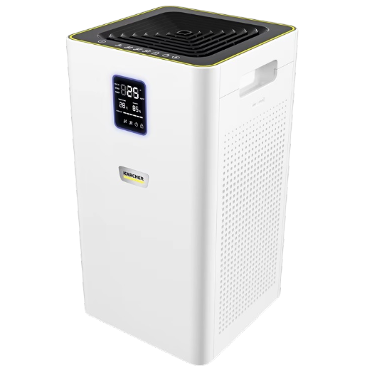 https://storage.alifshop.tj/media/images/alifshop/55708/ochistitel-vozduha-karcher-af-30-h13-1-024-824-0-belyy-1776156056390.png