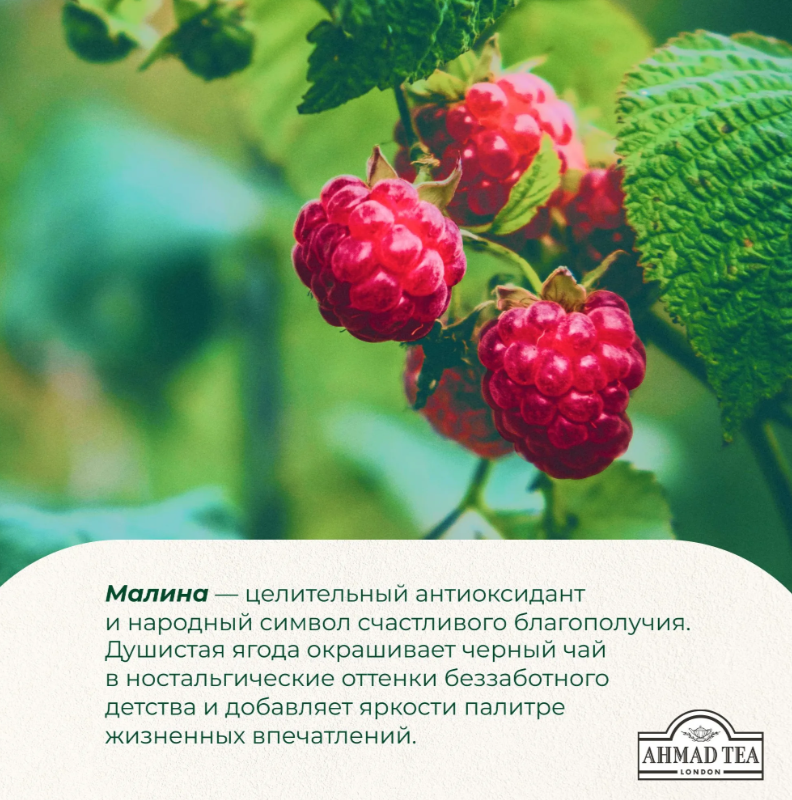 https://storage.alifshop.tj/media/images/alifshop/56025/chay-v-paketikah-chernyy-ahmad-tea-malinovoe-lakomstvo-25-sht-1776490099524.png