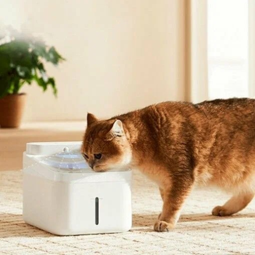https://storage.alifshop.tj/media/images/alifshop/56338/umnaya-poilka-dlya-zhivotnyh-xiaomi-smart-pet-fountain-2-belyy-1776849914698.png