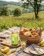 https://storage.alifshop.tj/media/images/alifshop/56869/napitok-sokosoderzhashchiy-vinut-banana-330-ml-1777637382516-xs.webp