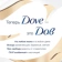https://storage.alifshop.tj/media/images/alifshop/56907/shampun-dav-vosstanovlenie-s-kurkumoy-i-kokosovym-maslom-400-ml-1777894150502-xs.webp