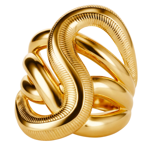 https://storage.alifshop.tj/media/images/alifshop/57217/kolco-iz-zolota-tojik-kristall-v-stile-snake-razmer-18-5-585-proba-5-15-gramm-1778583676714.png