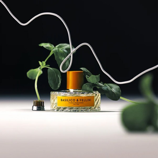 https://storage.alifshop.tj/media/images/alifshop/57302/parfyumernaya-voda-vilhelm-parfumerie-basilico-fellini-50-ml-1778664371015.png