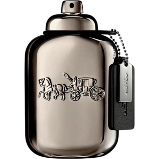 https://storage.alifshop.tj/media/images/alifshop/57628/parfyum-coach-man-pure-platinum-parfum-100-ml-1779182497658-xl.webp