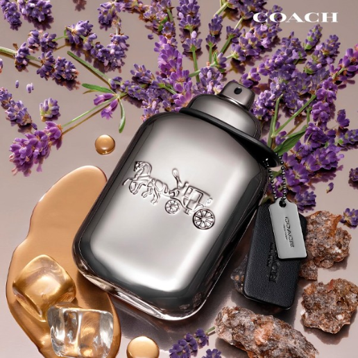 https://storage.alifshop.tj/media/images/alifshop/57628/parfyum-coach-man-pure-platinum-parfum-100-ml-1779182499698.png