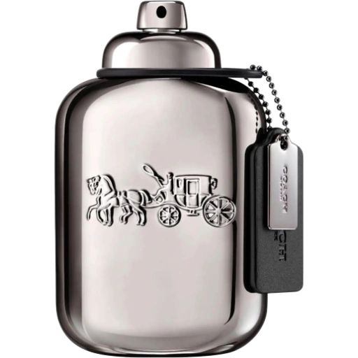 https://storage.alifshop.tj/media/images/alifshop/57629/parfyum-coach-man-pure-platinum-parfum-60-ml-1779183035361-xl.webp