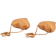 https://storage.alifshop.tj/media/images/alifshop/57735/sergi-iz-zolota-tojik-crystal-585-proba-9-93-gramm-1779278437998-xs.webp