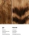 https://storage.alifshop.tj/media/images/alifshop/57866/nesmyvaemyy-sprey-dlya-volos-likato-professional-230-0c-hair-protect-200-ml-1779444337631-xs.webp