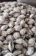https://storage.alifshop.tj/media/images/alifshop/57946/abrikosovye-kostochki-solenye-1000-g-1779689274792-xs.webp
