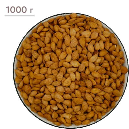 https://storage.alifshop.tj/media/images/alifshop/58009/abrikosovye-oreshki-solenye-shurak-1000-g-1779712723952-xl.webp