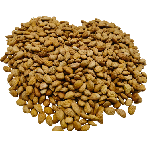 https://storage.alifshop.tj/media/images/alifshop/58009/abrikosovye-oreshki-solenye-shurak-1000-g-1779712725012.png
