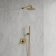 https://storage.alifshop.tj/media/images/alifshop/58301/dushevaya-sistema-omnires-y-sysy19gl-polirovannoe-zoloto-1780406265453-xs.webp