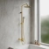 https://storage.alifshop.tj/media/images/alifshop/58433/dushevaya-sistema-so-smesitelem-dlya-vanny-omnires-y-y1234algl-polirovannoe-zoloto-1780650291115-xs.webp