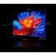 https://storage.alifshop.tj/media/images/alifshop/58463/televizor-tcl-p8k-qled-tv-65p8k-65-dyuym-1780661569801-xs.webp