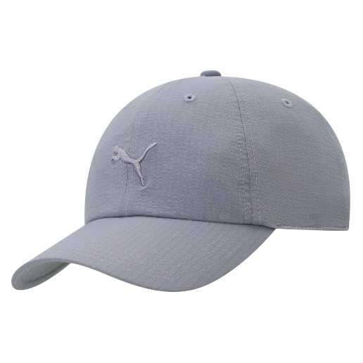 https://storage.alifshop.tj/media/images/alifshop/58813/kepka-puma-premium-premium-ess-seersucker-026848-goluboy-1781159660564.png