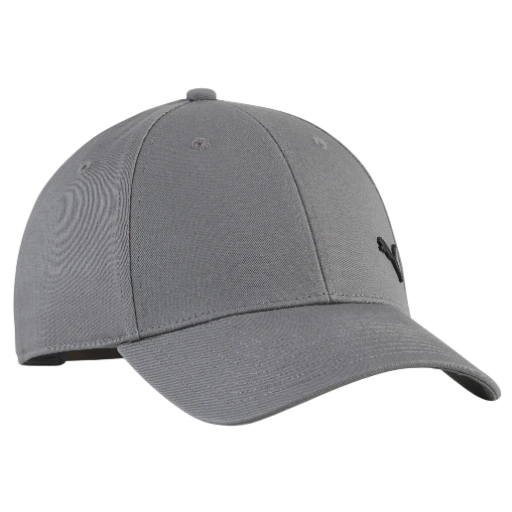 https://storage.alifshop.tj/media/images/alifshop/58845/kepka-puma-ess-elevated-metal-cat-cap-027154-seryy-1781176875667-xl.webp
