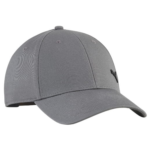 https://storage.alifshop.tj/media/images/alifshop/58845/kepka-puma-ess-elevated-metal-cat-cap-027154-seryy-1781176875667.png