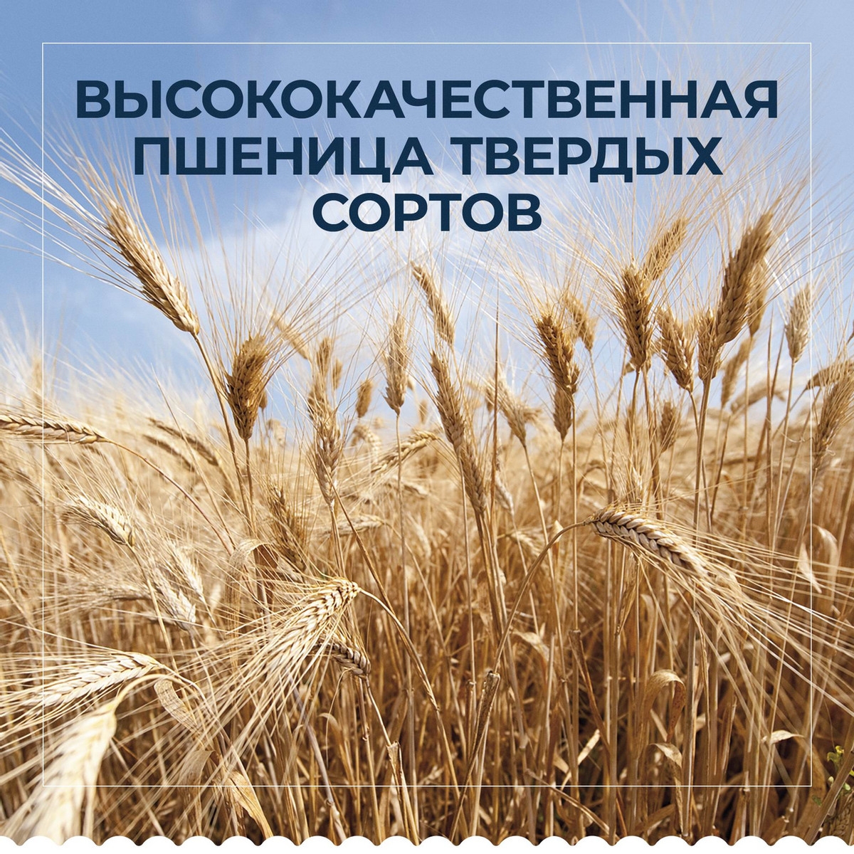 https://storage.alifshop.tj/media/images/alifshop/59038/makaronnye-izdeliya-barilla-fusilli-98-iz-tverdyh-sortov-pshenicy-450-g-1781584590256.jpg