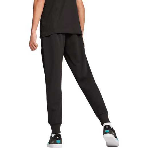 https://storage.alifshop.tj/media/images/alifshop/60794/muzhskie-bryuki-puma-mercedes-amg-petronas-motorsport-623745-01-xxl-chernyy-1782808476110-I7Wtc0LS.png