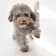 https://storage.alifshop.tj/media/images/alifshop/61323/mashinka-dlya-strizhki-domashnih-zhivotnyh-pro-petkit-2-v-1-belyy-1782974145804-z1ev9Azw-xs.webp