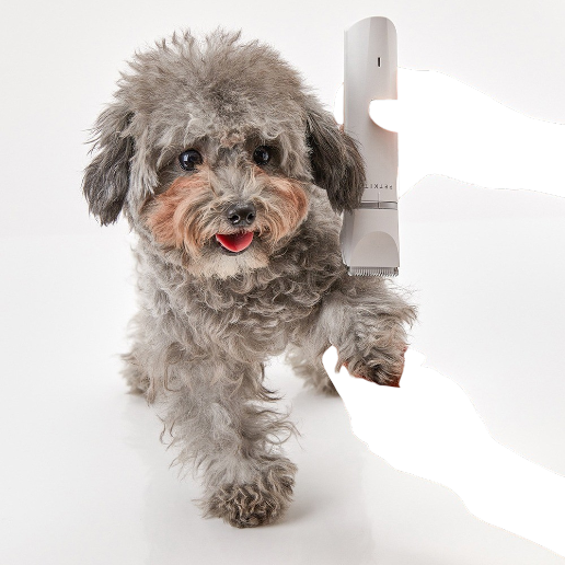 https://storage.alifshop.tj/media/images/alifshop/61323/mashinka-dlya-strizhki-domashnih-zhivotnyh-pro-petkit-2-v-1-belyy-1782974145804-z1ev9Azw.png