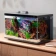 https://storage.alifshop.tj/media/images/alifshop/61328/umnyy-akvarium-xiaomi-mijia-smart-fish-tank-myg100-20-l-1782976172302-znts4JKk-xs.webp