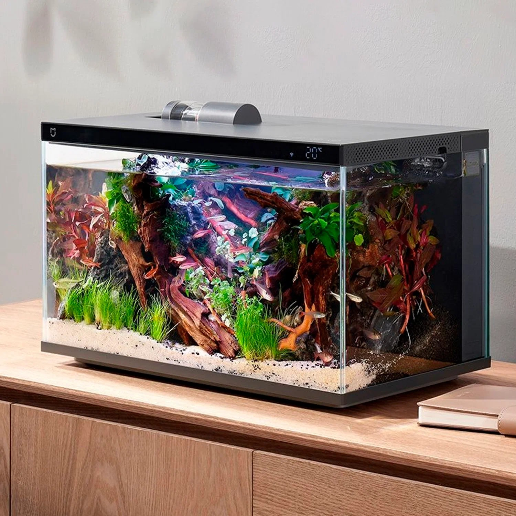 https://storage.alifshop.tj/media/images/alifshop/61328/umnyy-akvarium-xiaomi-mijia-smart-fish-tank-myg100-20-l-1782976172302-znts4JKk.png