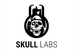 Skull Labs