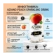 https://storage.alifshop.tj/media/images/alifshop/61506/gazirovannyy-napitok-aziano-peach-350-ml-1783314912481-1AM0dMeh-xs.webp
