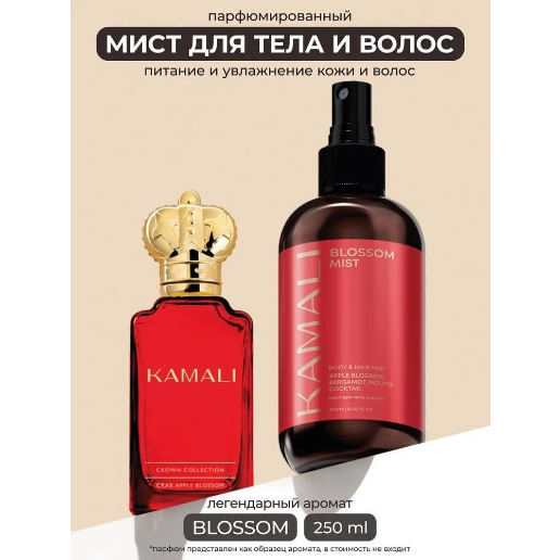 https://storage.alifshop.tj/media/images/alifshop/61510/parfyumirovannyy-sprey-mist-dlya-tela-i-volos-kamali-blossom-250-ml-1783316181609-IUwl2MzI.png