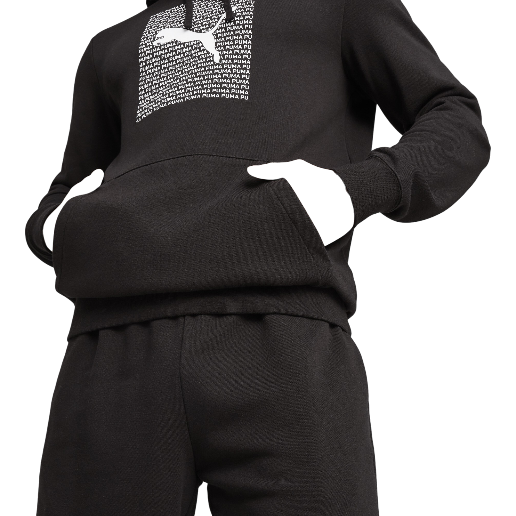 https://storage.alifshop.tj/media/images/alifshop/61603/muzhskoe-hudi-puma-ess-logo-lab-french-terry-687280-01-xxl-chernyy-1783346495583-j8pXL7kK.png