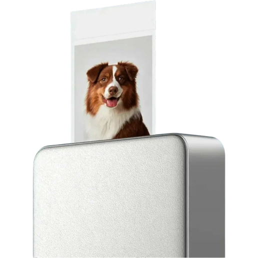 https://storage.alifshop.tj/media/images/alifshop/61733/kompaktnyy-fotoprinter-xiaomi-portable-photo-printer-pro-belyy-1783488598589-2FhJiq5Z.png