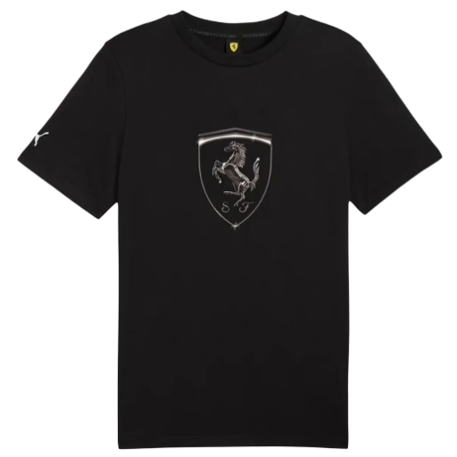 https://storage.alifshop.tj/media/images/alifshop/61964/muzhskaya-futbolka-puma-ferrari-race-tonal-big-shield-tee-630189-01-xl-chernyy-1783622337685-OKL4ZfEj-xl.webp