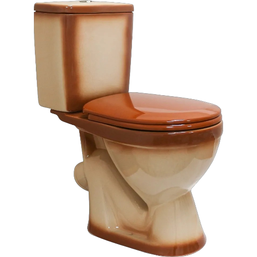 https://storage.alifshop.tj/media/images/alifshop/62156/napolnyy-unitaz-rosa-lira-korichnevyy-1783940912888-rIa6eAy4.png