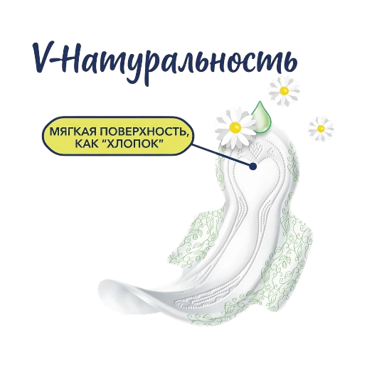 https://storage.alifshop.tj/media/images/alifshop/62266/prokladki-zhenskie-libresse-classic-protection-regular-dry-wings-9-sht-copy-1784009919990-mvayl6T9.png