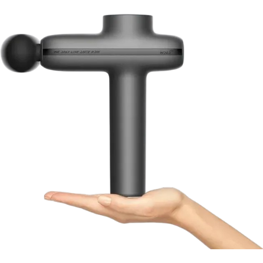 https://storage.alifshop.tj/media/images/alifshop/62367/massazhnyy-pistolet-xiaomi-wolonow-smart-dual-mode-fascia-gun-pro-seryy-1784112479992-Ud1Na8qV.png