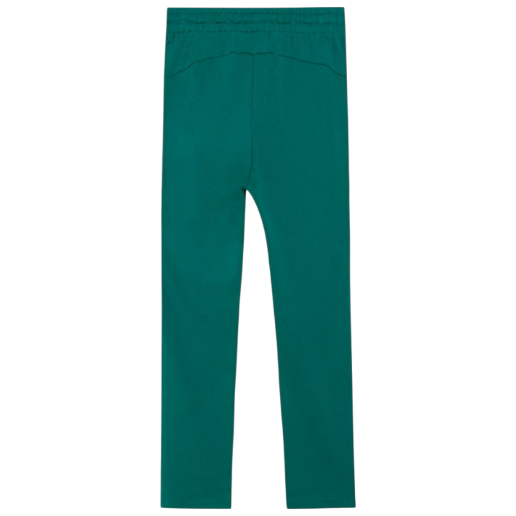 https://storage.alifshop.tj/media/images/alifshop/62541/muzhskie-shtany-puma-aston-martin-f1-essentials-men-s-side-pocket-sweat-pants-636490-04-m-zelenyy-1784206974412-7qrEsygs.png