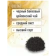 https://storage.alifshop.tj/media/images/alifshop/62634/chay-zelenyy-beta-tea-500-gr-copy-1784609609585-8dXmnXbt-xs.webp