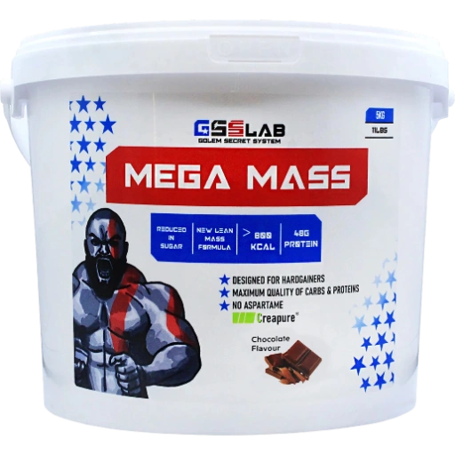 https://storage.alifshop.tj/media/images/alifshop/62761/geyner-gss-lab-mega-mass-shokolad-5-kg-1784789068246-L382on9M-xl.webp