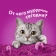 https://storage.alifshop.tj/media/images/alifshop/62906/vlazhnyy-polnoracionnyy-korm-whiskas-dlya-vzroslyh-koshek-i-kotov-ragu-s-kuricey-75-g-1785174933925-ffWOm9ys-xs.webp