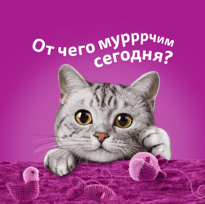 https://storage.alifshop.tj/media/images/alifshop/62906/vlazhnyy-polnoracionnyy-korm-whiskas-dlya-vzroslyh-koshek-i-kotov-ragu-s-kuricey-75-g-1785174933925-ffWOm9ys.png