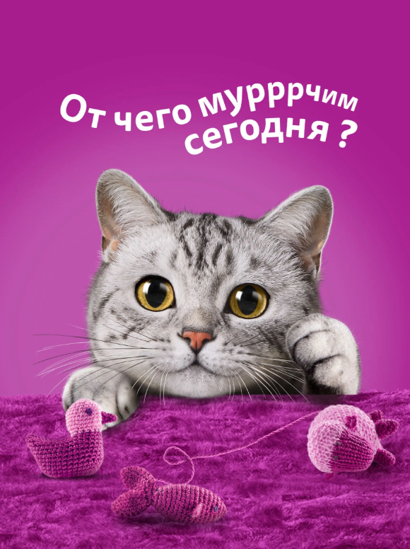 https://storage.alifshop.tj/media/images/alifshop/62907/vlazhnyy-polnoracionnyy-korm-whiskas-dlya-vzroslyh-koshek-i-kotov-pashtet-s-kuricey-i-indeykoy-75-g-1785175182025-I5fIMx8S.png