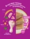 https://storage.alifshop.tj/media/images/alifshop/62907/vlazhnyy-polnoracionnyy-korm-whiskas-dlya-vzroslyh-koshek-i-kotov-pashtet-s-kuricey-i-indeykoy-75-g-1785175182225-8N83mG5h-xs.webp