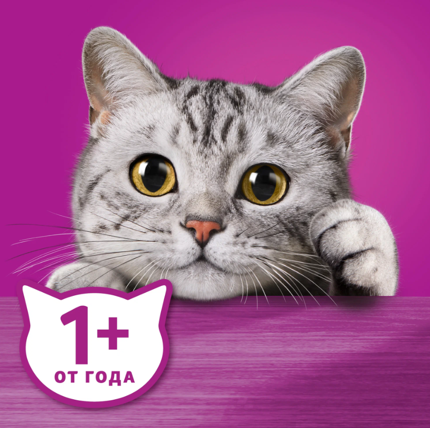 https://storage.alifshop.tj/media/images/alifshop/62908/vlazhnyy-polnoracionnyy-korm-whiskas-dlya-vzroslyh-koshek-i-kotov-pashtet-s-utkoy-75-g-1785175469127-tzqIpKXI.png