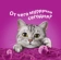 https://storage.alifshop.tj/media/images/alifshop/62909/vlazhnyy-polnoracionnyy-korm-whiskas-dlya-vzroslyh-koshek-i-kotov-ragu-s-govyadinoy-i-yagnenkom-75-g-1785175779028-52lizTEC-xs.webp